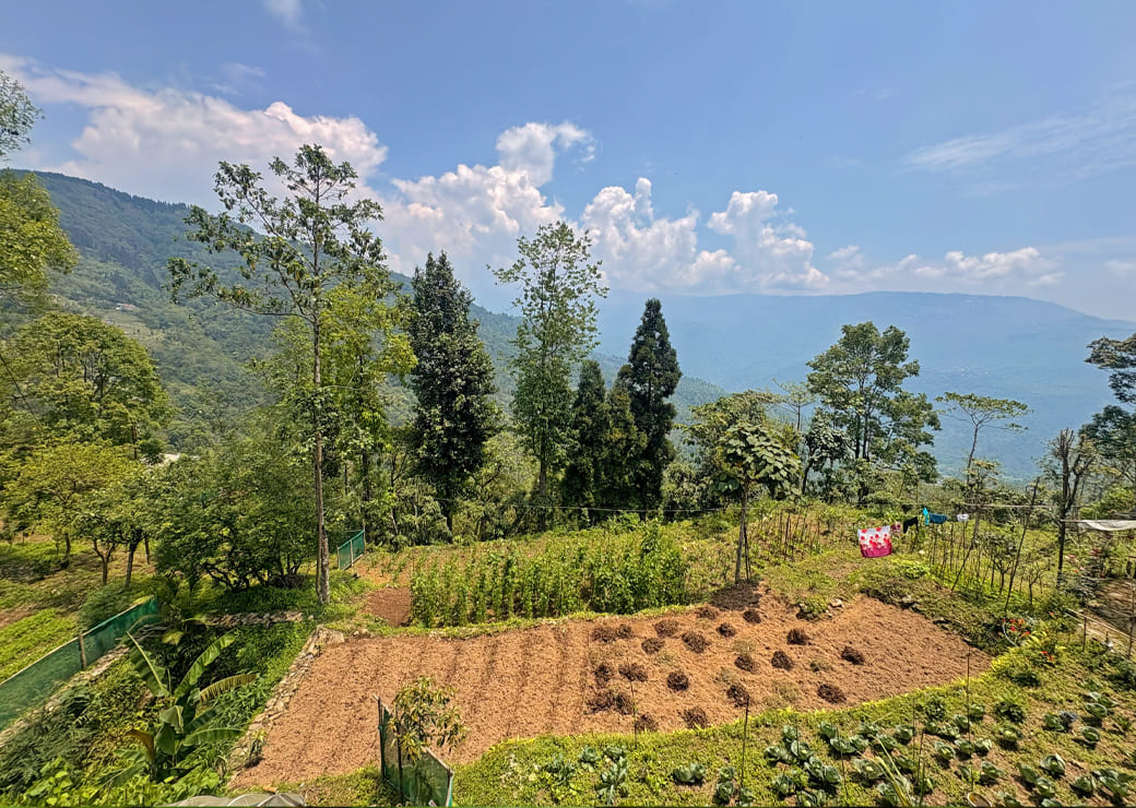 Home farm's showcase image 2